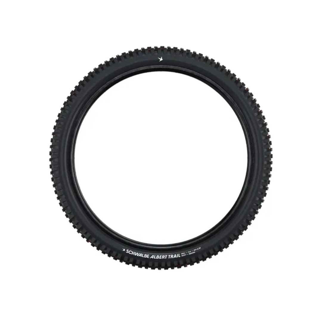Schwalbe Radial Albert Gravity Pro